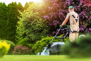 A gardener mowing a lush, green lawn with a lawnmower on a sunny day.