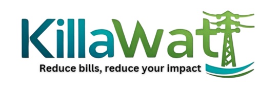 Kill A Watt