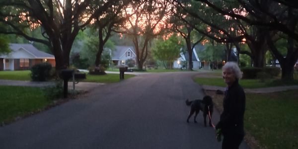 An elderly woman walking her dog on a quiet suburban street at sunset.