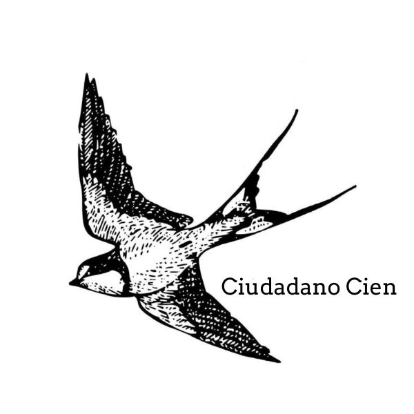 Black and white swallow illustration with text.