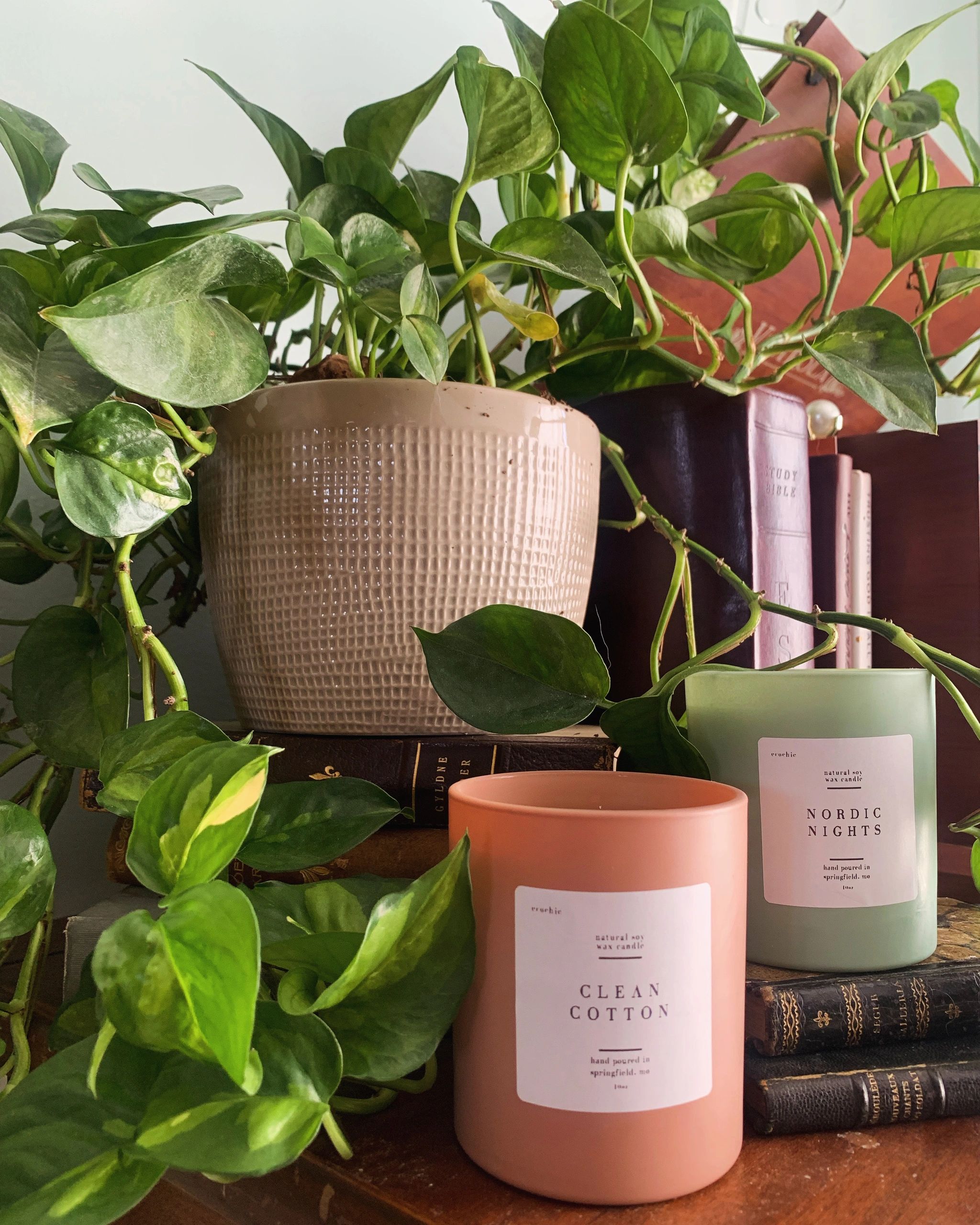 ecochic