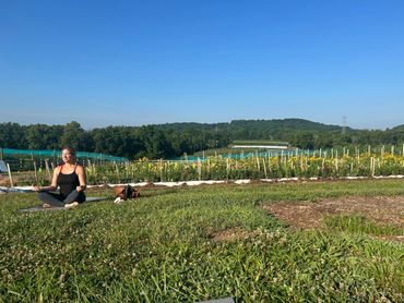 "Rise and Shine" and yoga event at Phillips Farm in Milford, NJ.
