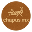 chapus.mx
