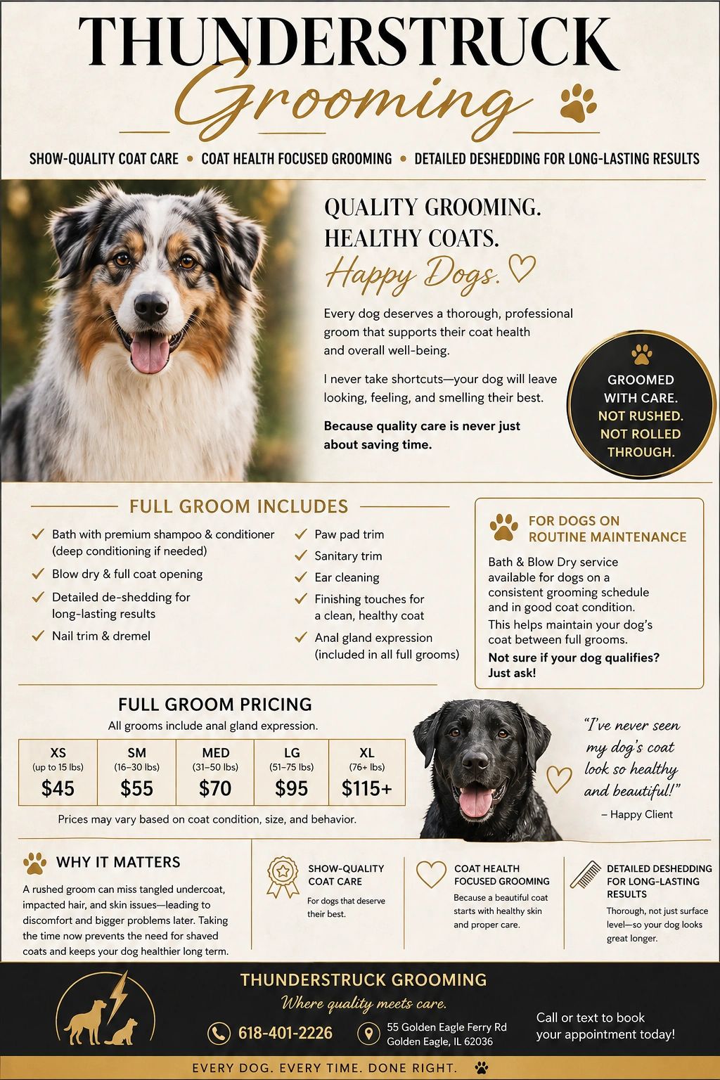 Thunderstruck Grooming offers professional dog grooming for healthy coats and happy dogs.