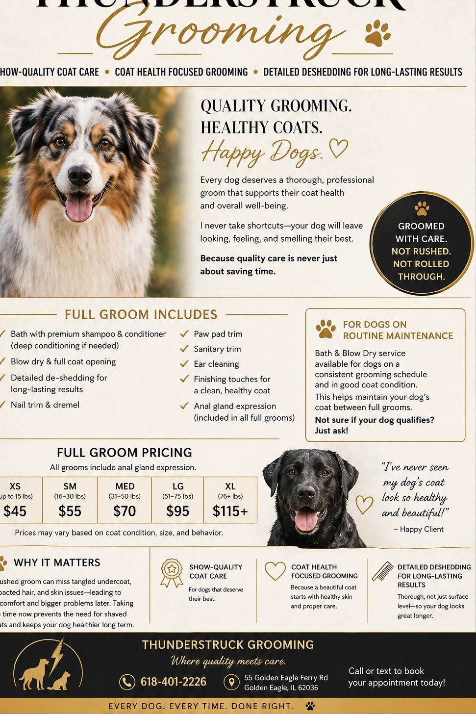 Thunderstruck Grooming offers professional dog grooming for healthy coats and happy dogs.