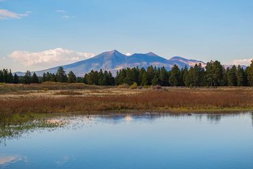 Kachina Wetlands, Arizona