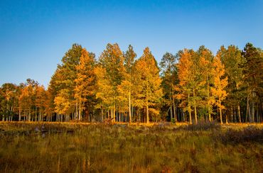Aspen Corner, Arizona