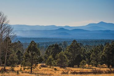 Aspen Corner, Flagstaff, Arizona