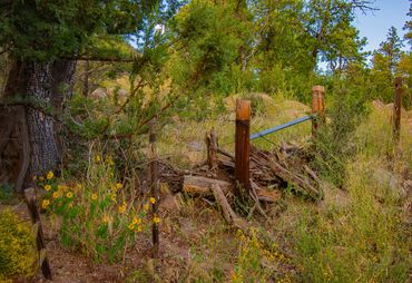 Fat Mans Loop Trail, Flagstaff, Arizona