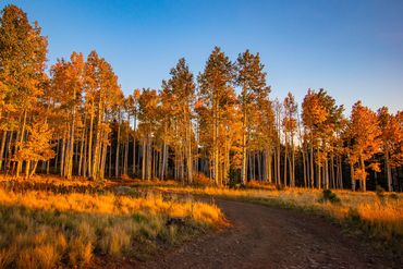 Aspen Corner, Flagstaff, Arizona