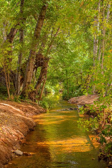 Water at Red Rock Crossing, Sedona, Arizona