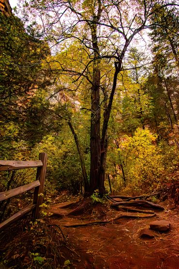 West Fork, Sedona, Arizona