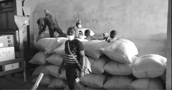 Our Production & Quality Manager, Mr. Jeffery Igbuzor supervising a sesame seed cleaning process.