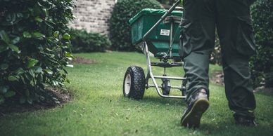 lawn overseeing lawn aeration