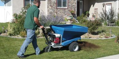 lawn care leaf removal