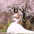 Maternity Session, Cherry Blossom Season