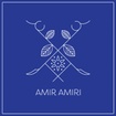 AMIR AMIRI