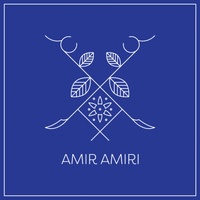 AMIR AMIRI