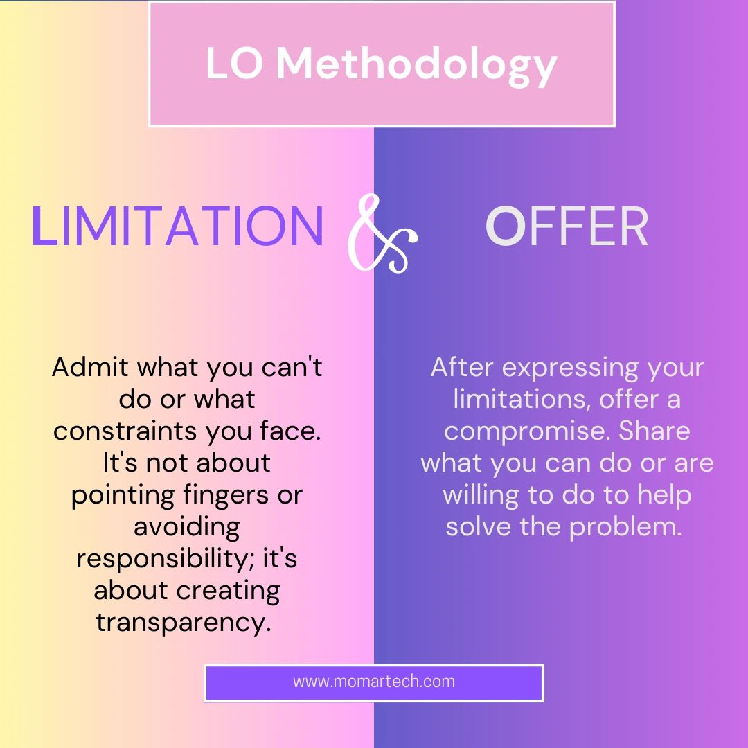 LO Methodology means Limitation and Offer for problem solving