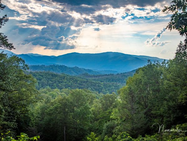 Sun rays break through clouds over a lush green forest and distant blue mountains.