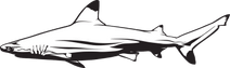 Blacktip Ventures