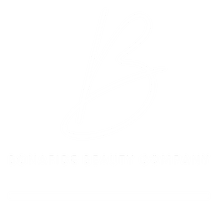 BONAFIDE BEAUTY COMPANY