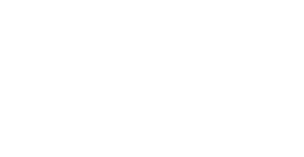 Devlin Partners Inc.