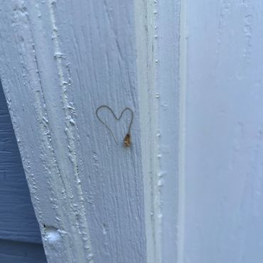 love from a tree dropping