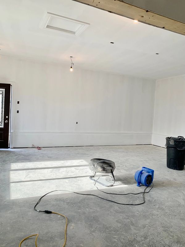 Freshly Primed Walls and Ceiling