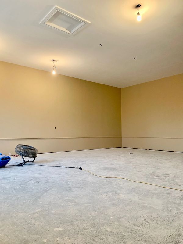 Freshly Painted Walls and Ceilings