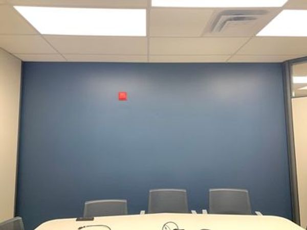 Freshly painted office accent wall, blue