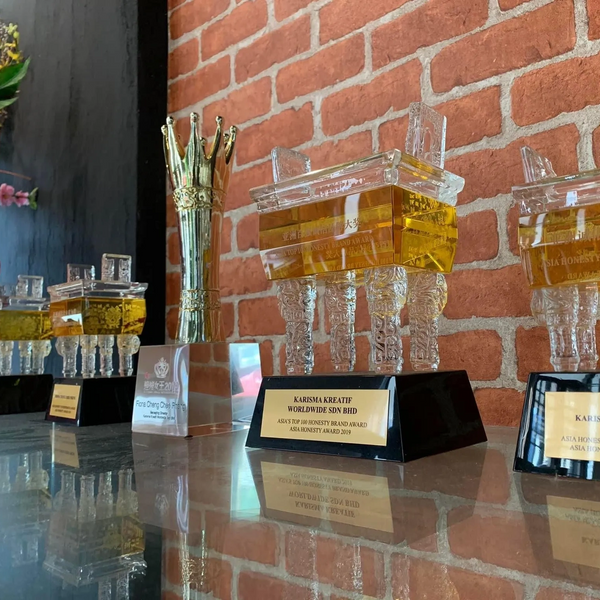 Accolades that signify yet another celebrated chapter in our corporate narrative.