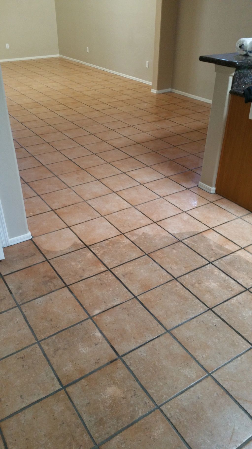 Ceramic Tile & Grout Steam Cleaning