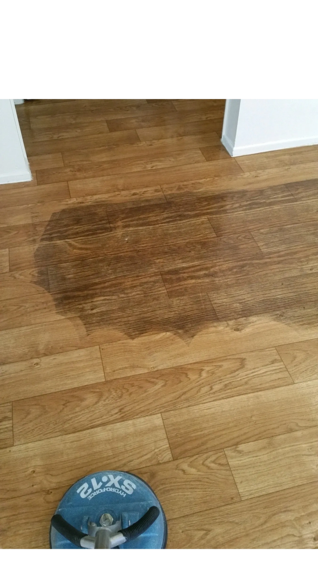 Vinyl Steam Cleaning