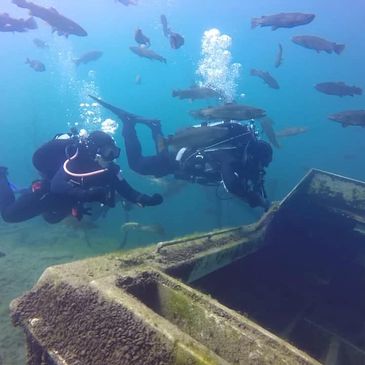 Scuba divers checking out a sunken boat at gilboa quarry 