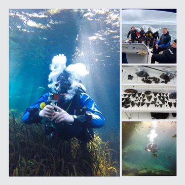 Suba diver taking picture, scuba divers on boat, fossils and megaladon teeth, diver in cavern basin.