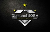 DIAMOND SORA  TRAINING SOLUTIONS 