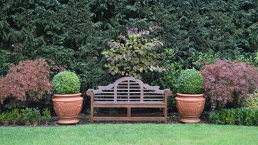 Stunning Garden featuring Traditional Romantic Timber Garden bench Flanked with Topiary Box Spheres 