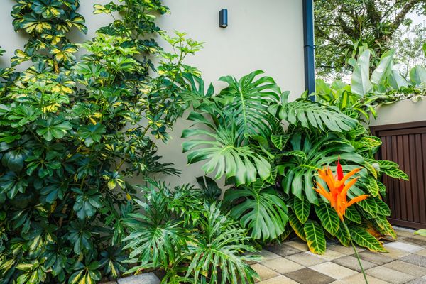 Jungle villas costa rica