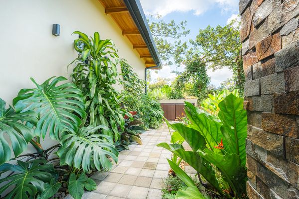 Villas jungla costa rica