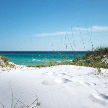 Beach and ocean in Palm Beach County, Florida