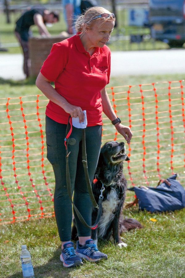 A woman in red training a black dog outdoors near an orange fence.