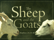 SheepGoat