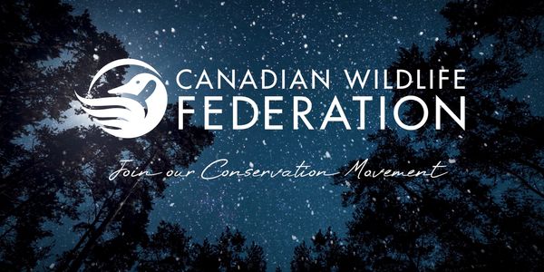 Canadian Wildlife Federation - PSA