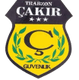 Çakır Güvenlik