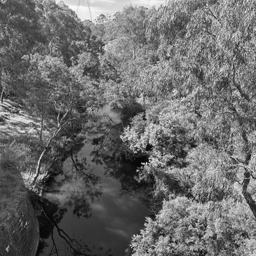 View of Merri Creek in Northcote from bridge