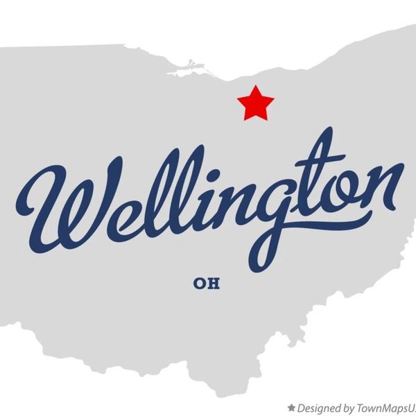 Wellington Ohio