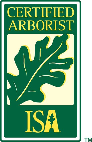 10 Star Tree Care ISA Certified Arborist