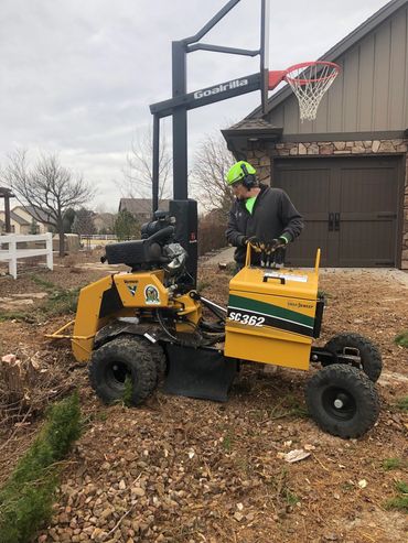 Stump grinding/ Stump Removal