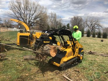 Tree Trimming and Tree Removal is much more fun with a mini skid. 